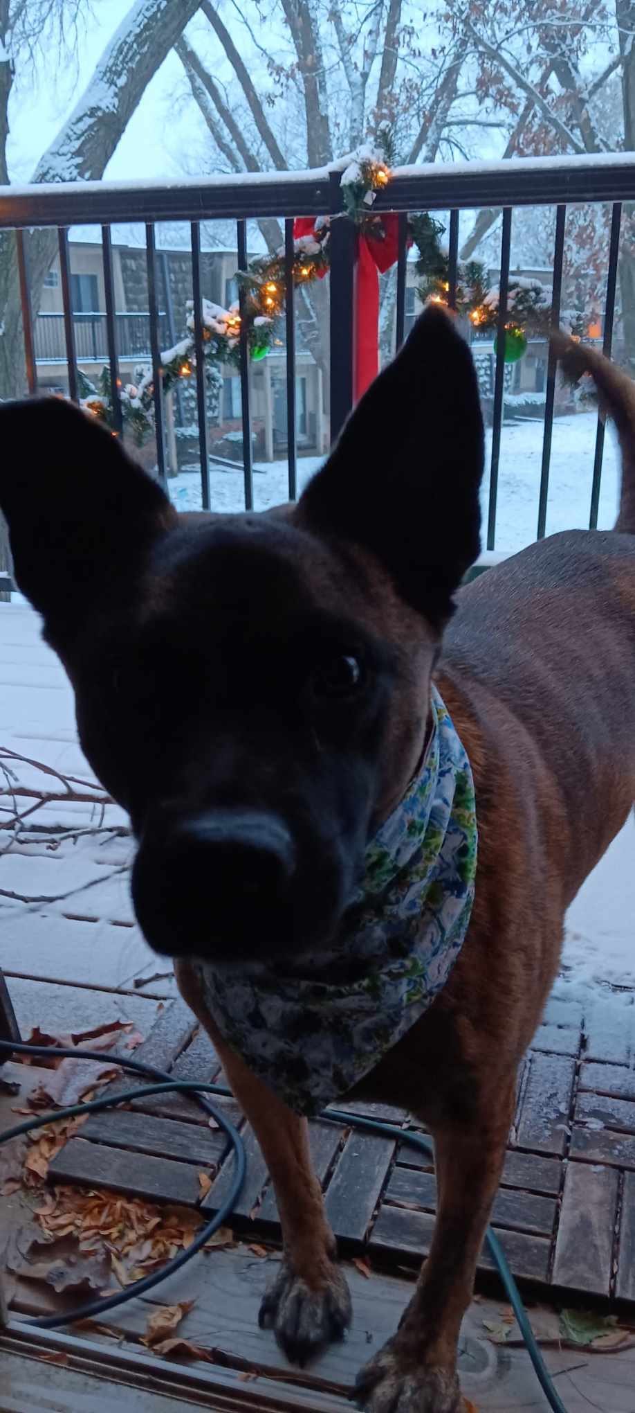 Holiday Newsletter 2023-