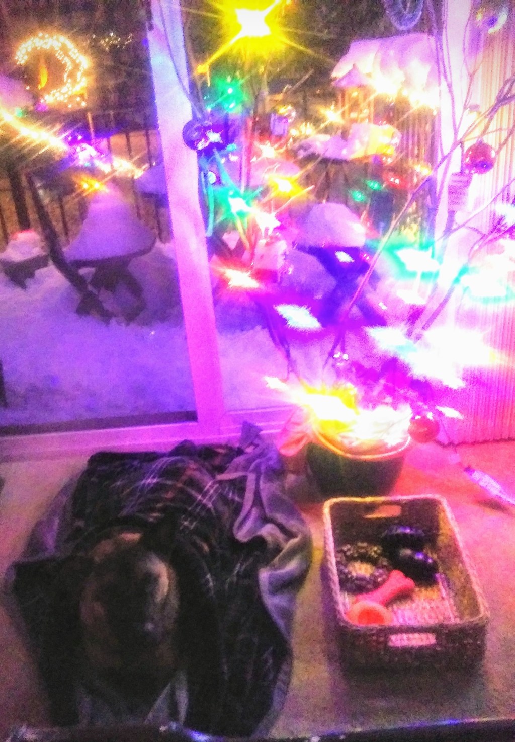 Worth the Wait: What if I told you anticipation is (one of) the best&nbsp;part(s)?